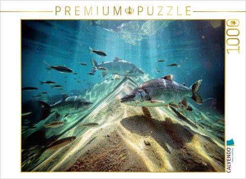Calvendo puzzle die - wo,
