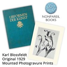 Karl Blossfeldt Urformen der