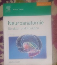 Neuroanatomie Struktur und