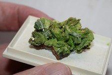 Auflösung einer Mineralliensammlung , Menzenschwand , Schwarzwald Mineralien