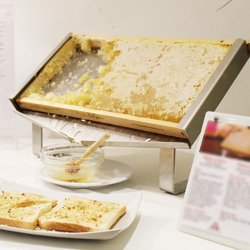 Wabenrahmen-Ausstellungsstand