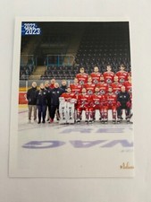 Team #386 Sticker DEL2