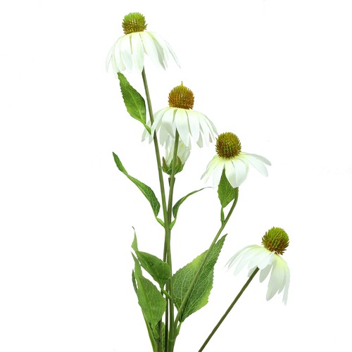 Künstliche echinacea blüte - echinacea,