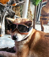 Chrombrille Motorradbrille