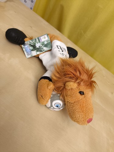 Nici fifa world cup - fifa,