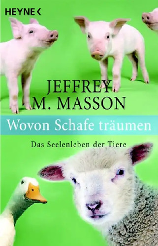 Wovon schafe träumen - schafe,