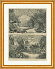 Der Wintergarten König Ludwig II.Bayern Risle Kiosk Königszelt Holzstich E 26408