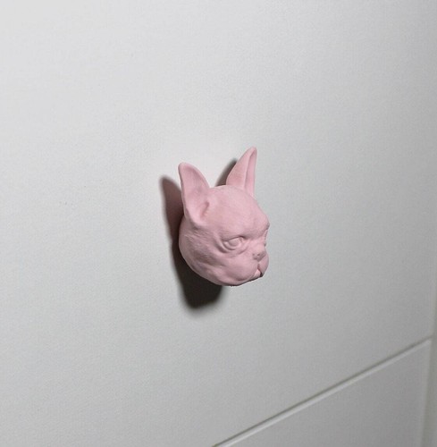 Frenchie french - frenchie, bully