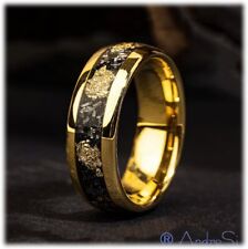 Meteorite Ring Stainless Steel