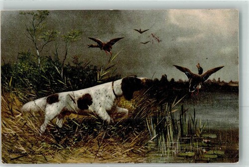39435446 setter flugenten - 39435446,