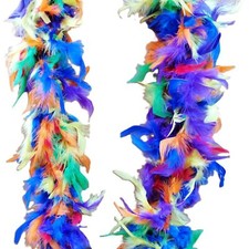 bunte Federboa Rainbow