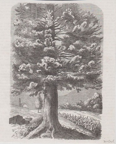 Orig holzstich landschaft - orig., holzstich: