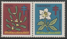 27805 - Aschenputtel -