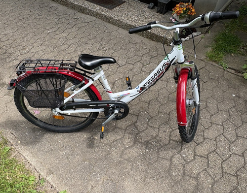 Pegasus kinderfahrrad zoll - pegasus, 24