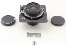 [Exc+5 mit Cam] Horseman Tokyo