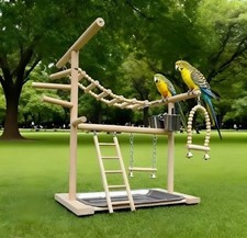 Papageien Spielplatz