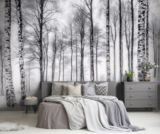 Fototapete Wald Birken Schwarz