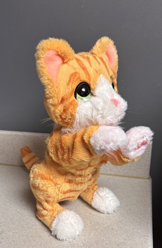 Furreal bella the - bella,