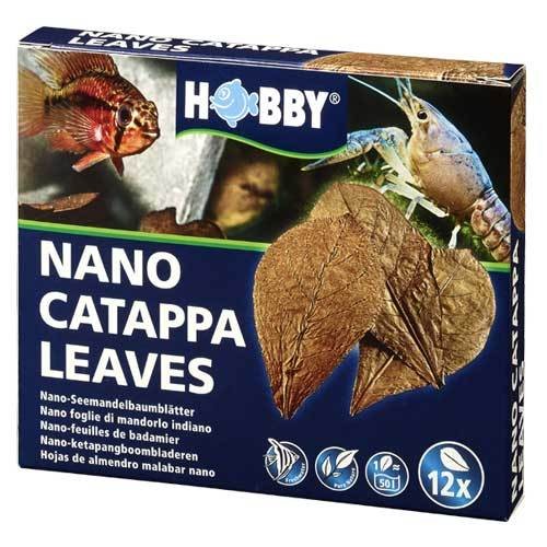 Seemandelbaumblätter catappa - seemandelbaumblätter,