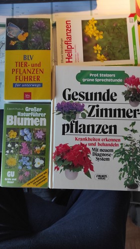 Bücher pflanzen - 4, bücher,
