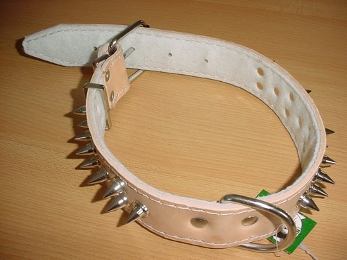 Hundehalsband mit