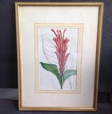 Altes Bild Gerahmt In