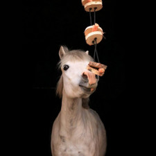 Pferdespielzeug Mini-Tarzan, Pferdebeschäftigung, Futter Spielzeug für Pferde