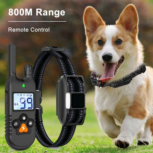 Antibell hunde halsband - hunde,