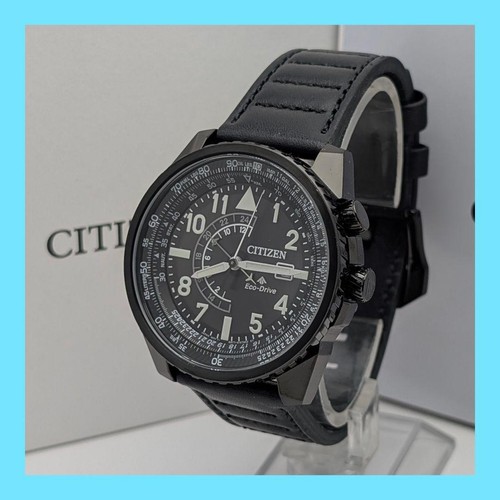 Citizen promaster nighthawk - citizen,