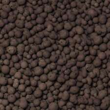 brockytony 8-16mm. Pflanzton