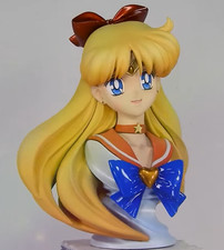 Sailor Moon Model Kit Sailor