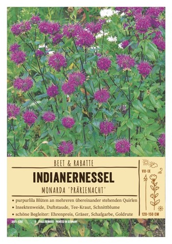 Monarda hybr - monarda,
