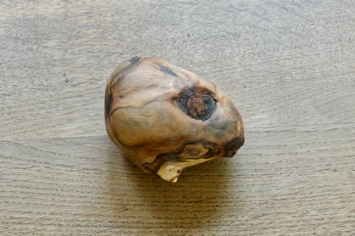 Große baumperle hexenei - große, baumperle,