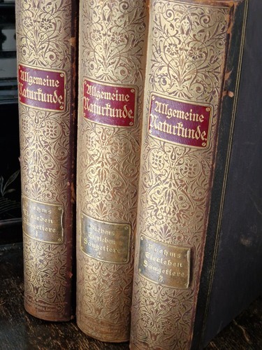 Allgemeine naturkunde brehm - allgemeine, brehm´s