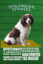 Holzschild 30x20 cm Springer