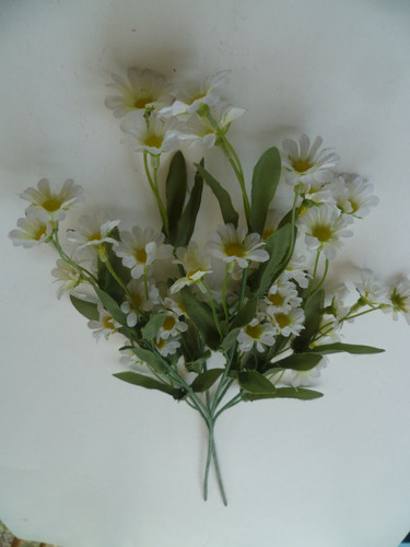 Stiele blumen margeriten - 2,