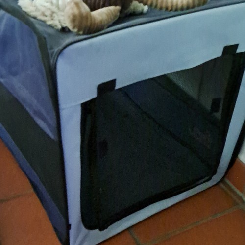 Faltbare hunde transportbox - faltbare, hunde-transportbox