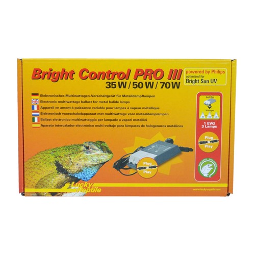 Lucky reptile bright - reptile, control