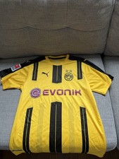BVB Borussia Dortmund 2016/17