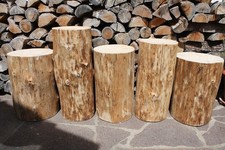 XL Baumstamm Holzstamm # 37 cm
