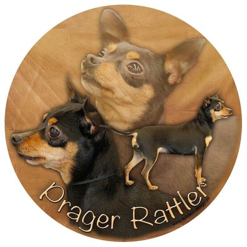 Prager rattler autoaufkleber - rattler,