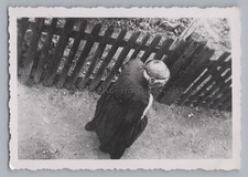 Grandmother Next to Garden