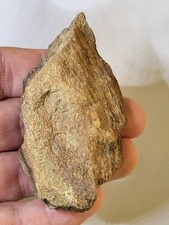 Seltenes Stegosaurus