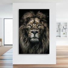 WANDBILD ACRYLGLAS LÖWE WAND