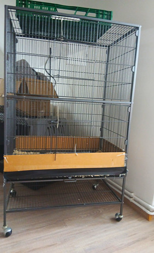 Großer metall vogelkäfig auf - vogelkäfig,