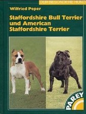 Staffordshire Bull Terrier und