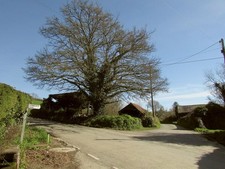 Foto 6x4 Kreuzung, Couch's