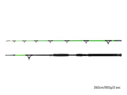 Delphin walkyra 60m - 2,60m, wg