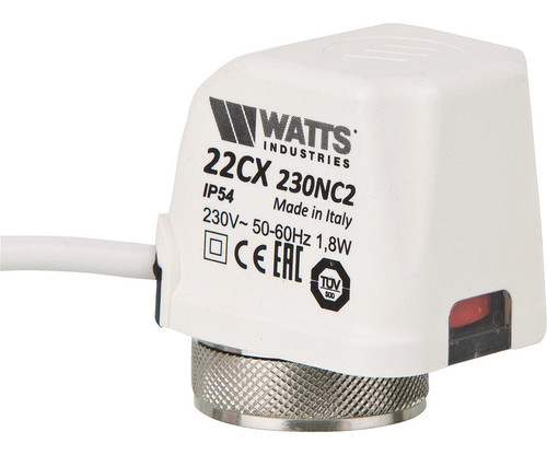 WATTS
