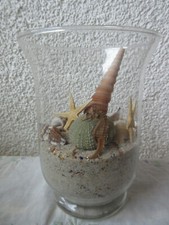 Windlicht - Glas - Sand mit Bernstein, Seestern, Muschel usw.